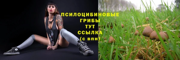 jwh Белая Холуница