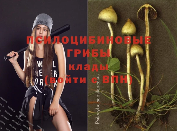тгк Надым